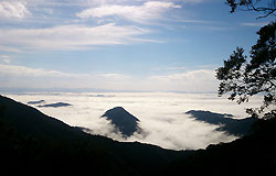 大江山の雲海