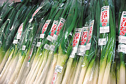 岩津ねぎ