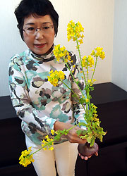 黄色い花を付けたアカカブ