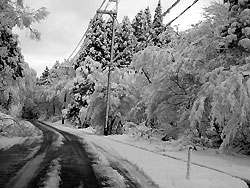 道路に雪
