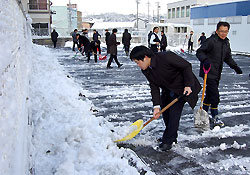 職員総出で雪かき