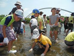 由良川でアユを探す