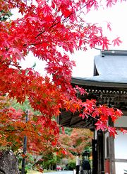 紅葉の長安寺