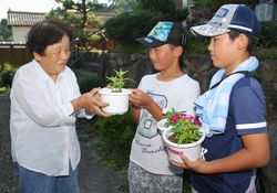 日日草を手渡す児童