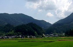 柴遺跡