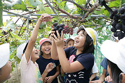佐賀小学校