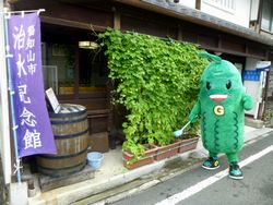みどりのカーテン
