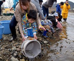 サケの稚魚を放流