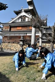 草を引く職員たち