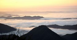 大江山の雲海