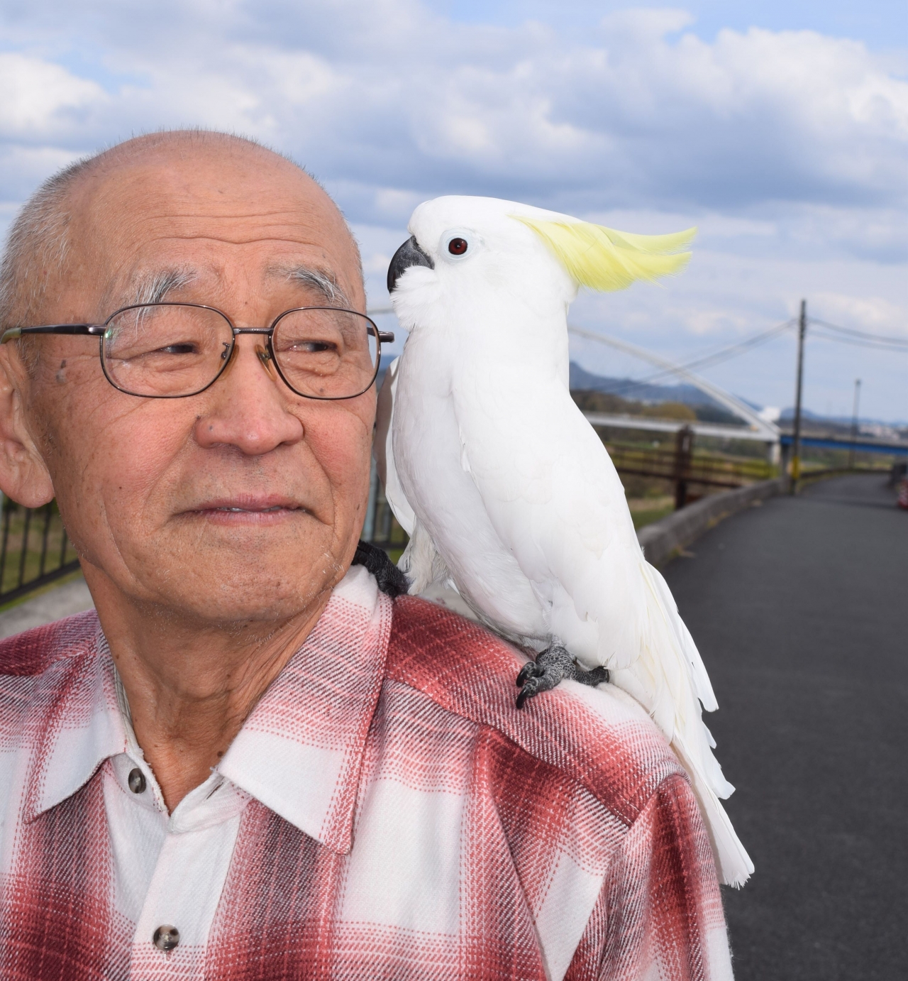 両丹日日新聞 オウムを肩に朝の散歩続けて年 寺町の山田さん 一日12キロ ニュース