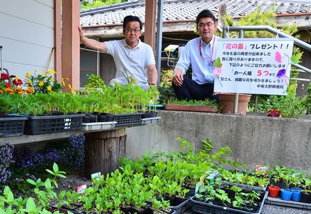 中夜久野郵便局の恒例・花苗プレゼント　3密避けて公民館で配布