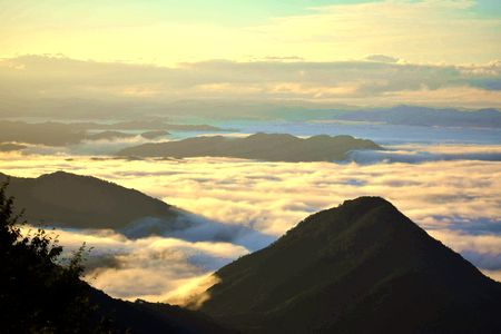 大江山の雲海