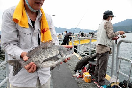 【宮津】待望の再開に多くの人　海洋つり場チヌ、アコウなど好調