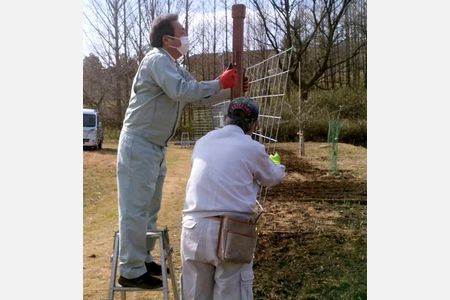 道の駅の花壇、シカが食い荒らす　農匠の郷で柵の設置間に合わず