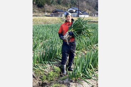 Ｕターン就農青年が畑で特産岩津ねぎの収穫・詰め放題企画
