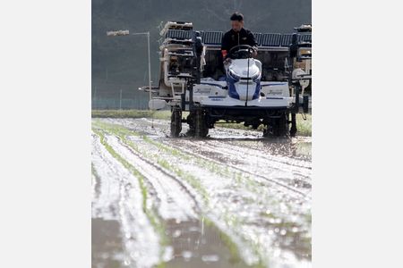 水田に伸びる苗の列　報恩寺で田植え始まる－若手農家田中さん