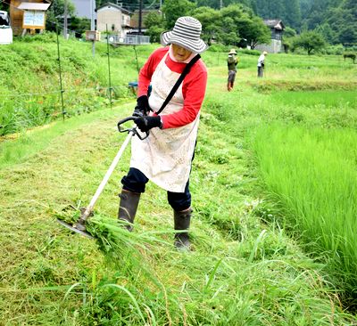 ボランティアと住民が棚田で草刈り　高齢化進む大江町毛原で
