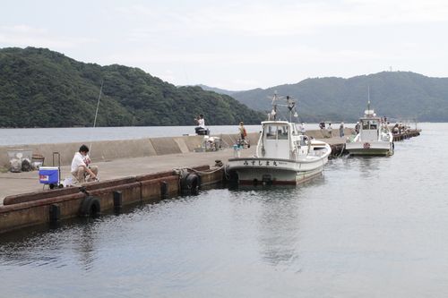 【白杉】サヨリ30センチ　チヌも上がるが、少人数での利用を