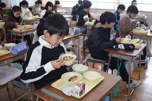 「ほくほくしておいしい」京野菜のエビイモ　福知山産を学校給食に