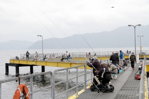 【宮津】海洋つり場で30日、無料釣りデー