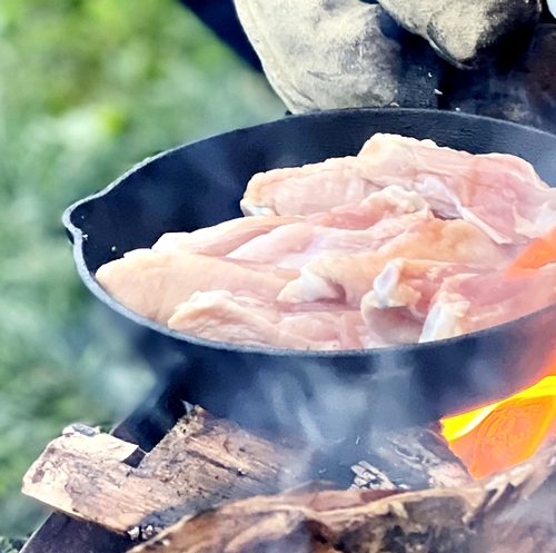 鶏肉の生焼けは絶対駄目－京都府北部で食中毒注意報多発