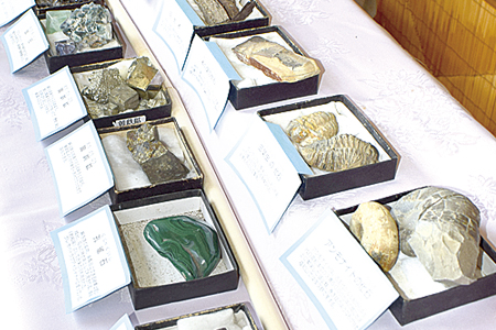 「鉱石に興味を持って」オパールやサファイアなど、採集した鉱石を自宅に展示