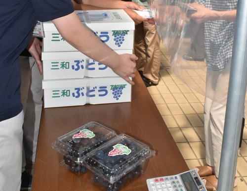 秋の味覚の販売始まる　「三和ぶどう」に長い列