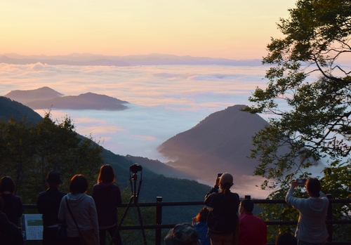 大江山の雲海