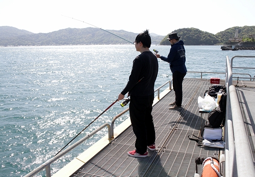 【宮津】チヌやグレなど上がる　海洋つり場営業開始