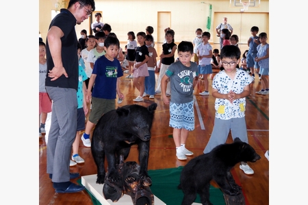登下校中にクマと出合ったら　修斉小で市が授業