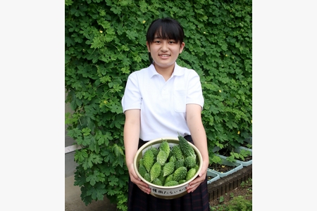 川中生が栽培したゴーヤ、朝市で販売して被災地支援