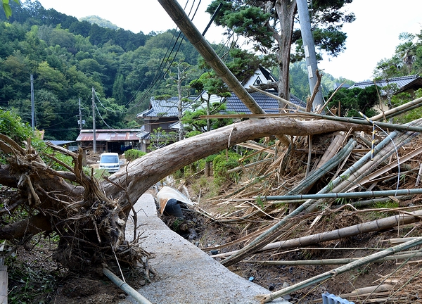 想定外の被害出た台風7号振り返り、避難のシンポ
