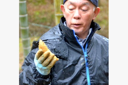 小さな“春の味”　報恩寺の竹林でタケノコ試し掘り