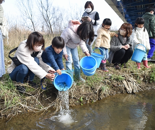 元気に帰ってきてね　由良川でサケの稚魚2万匹放流