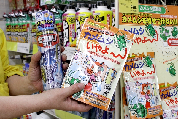 カメムシ大量発生に悲鳴　駆除剤は品薄