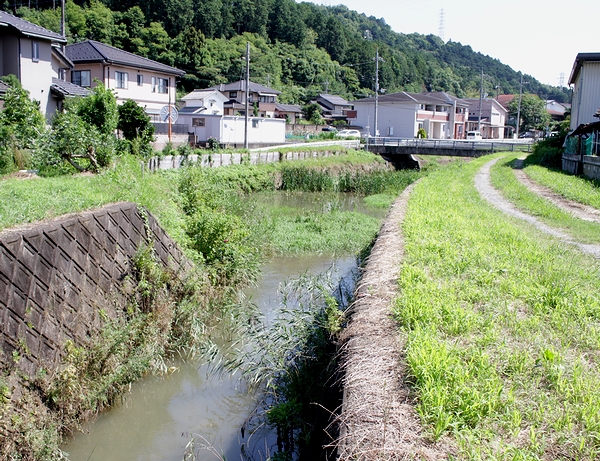 上流を先に拡幅して浸水被害増？　石原の大谷川