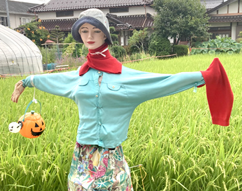 くるくる踊ってスズメから稲守る　回転するカカシ制作