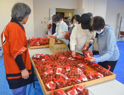 色つや良い「丹波くり」求め1千人が来場　福知山地方まつり