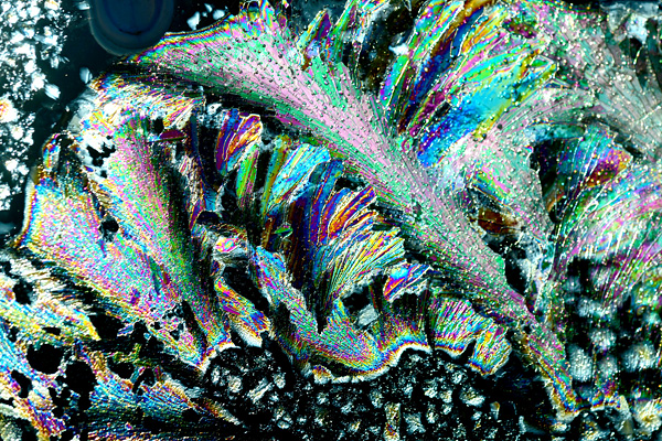 七色に輝く氷の写真撮影　けさ福知山市内で氷点下　厚中問屋町大地さん