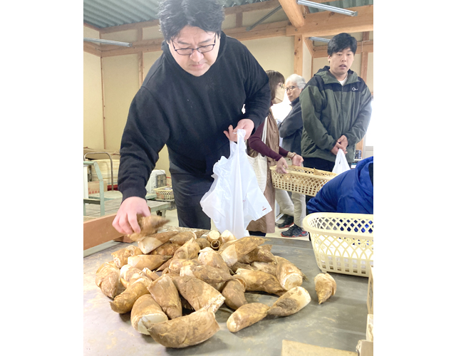 「報恩寺タケノコ」の初出荷　裏年でも好発進、次々持ち込まれる
