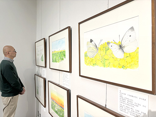 福知山出身の絵本作家　たかはしきよしさん原画展　精緻な虫や植物54点並ぶ