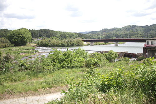 高畑の土師川で築堤開始　総延長は500メートル　福知山河川国道事務所