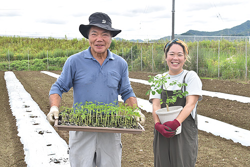 「スーパーフード・モリンガ」福知山の特産品に　モリンガ生産者とシイタケ農家がタッグを組み挑戦