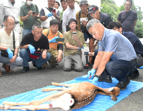有害鳥獣を食資源に、ジビエハンター養成　福知山市が講習会