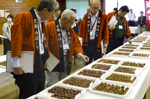 秋の味覚に表情ほくほく　「丹波くりまつり」