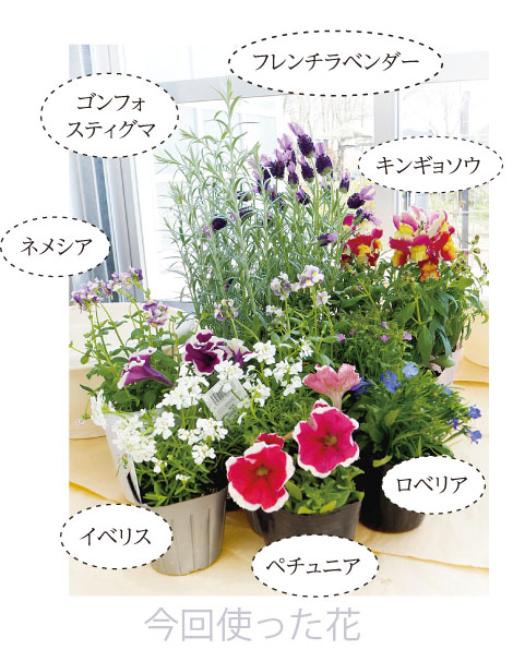 寄せ植え　花　問い合わせ