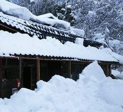 雪の重みで損壊した屋根