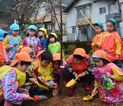 ヤマザクラを植える園児たち