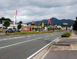 駅南町の国道9号